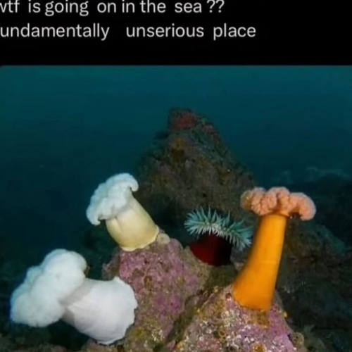 fundamentally unserious