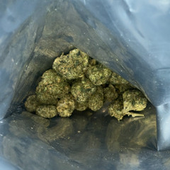 green monster energy with Z