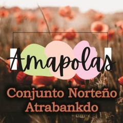 Amapolas