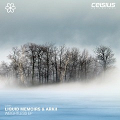Liquid Memoirs And Arkii - Feeling Good