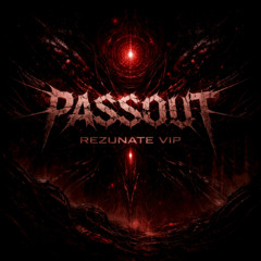 PASSOUT (REZUNATE VIP)