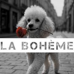 Dil Jefe Feat Arma - La bohème Remix ( Instru by Parzy )