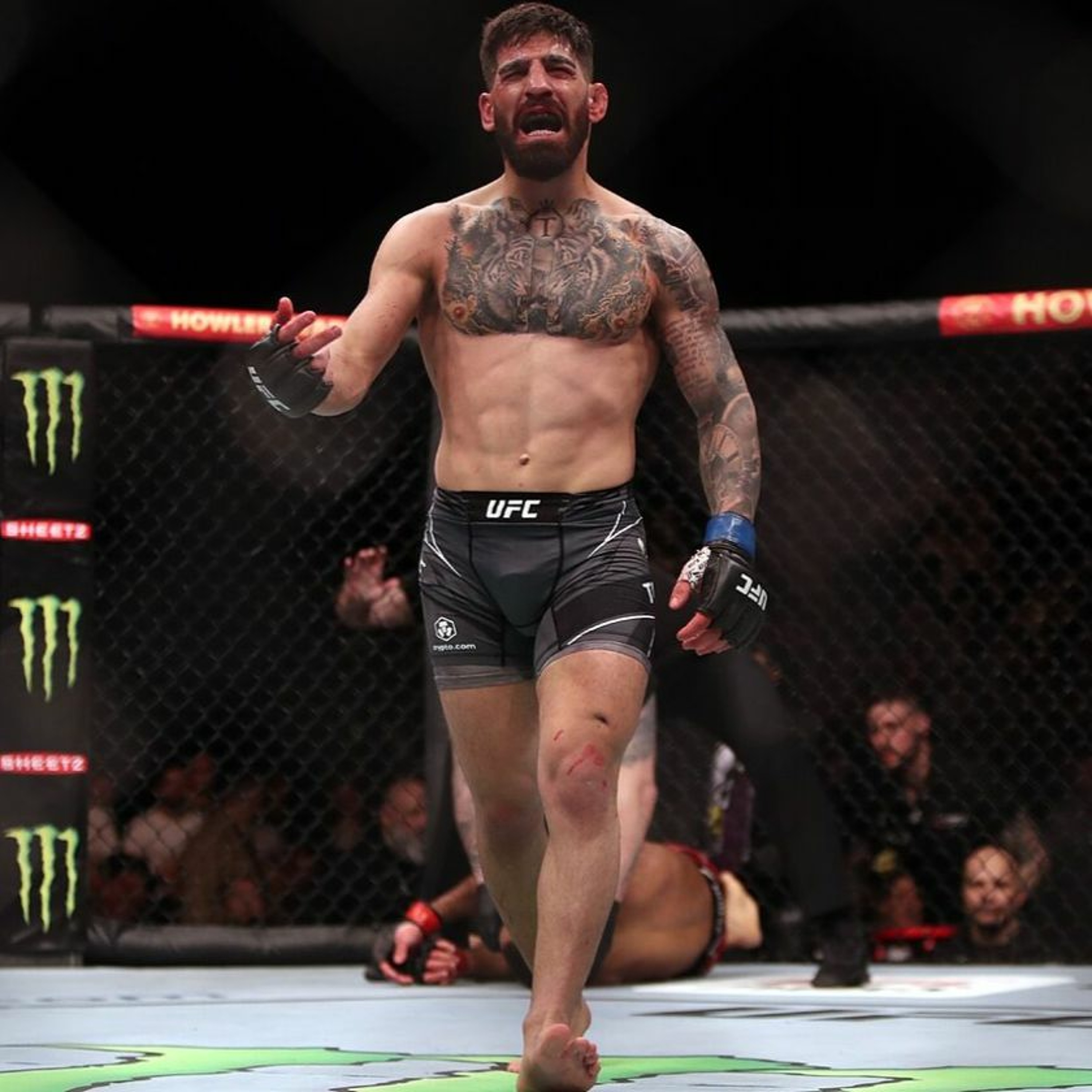 HTHB Shoulder Strikes MMA Podcast Ep. 116: "UFC Jacksonville" with Matt McSweeney and Ty Capone thumbnail