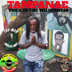 TAMPANAE - Voice In The Wilderness / TruMon Dubplate