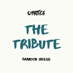 BRANDON LADELLE - THE TRIBUTE (DESTINY SONG CONTEST)