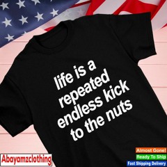 Life is a repeated endless kick to the nuts shirt