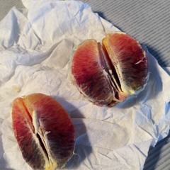 midsummer's night dream