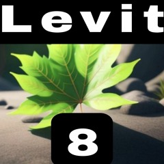 levit8