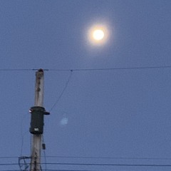 A Cost (instrumental)