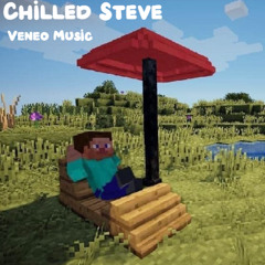 Chilled Steve