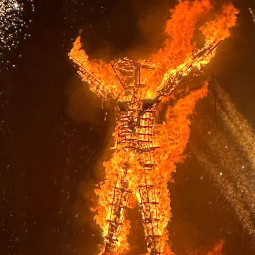 Friedlander live at Synthesis - Burning Man 2025.08.27