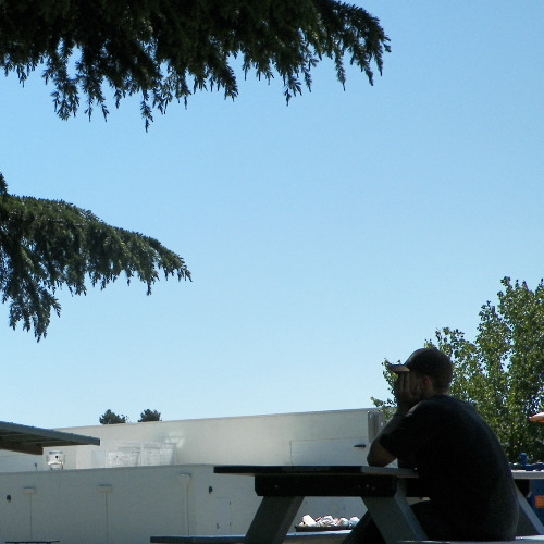 If Only You Could See Yourself Through My Eyes