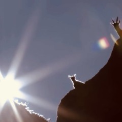 Up