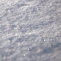 was is will be (2021)