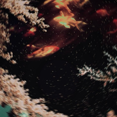 aurora borealis prod by n!co and me (RepairDanielsExclusive)