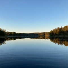 Introspection Demo 44