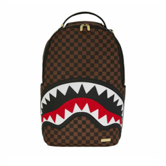 sprayground