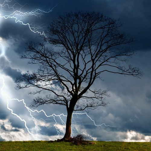 Karma and Trauma - Part 6