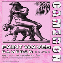 Faint Waves - On The Coast