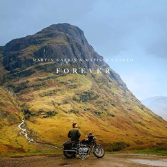 Forever X Paradise (DLLRN Mashup) [FREE DOWNLOAD]