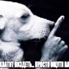 солiвая аудiторiя w/PLXYAMISHIKII