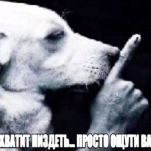 солiвая аудiторiя w/PLXYAMISHIKII