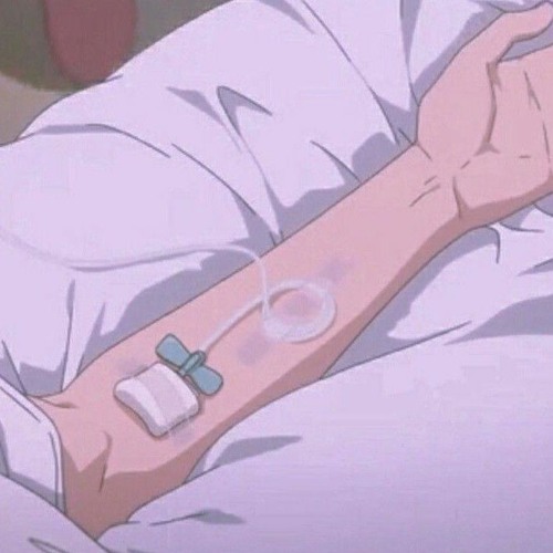 【きくお + しく】sunshine is brief • s l o w e d •