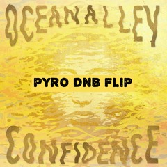 Confidence (Pyro DNB Flip)