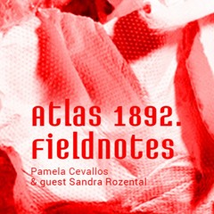 ANTART FieldWorks #2: Pamela Cevallos and Sandra Rozental