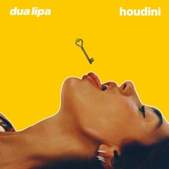 Dua Lipa - Houdini [Dj Galactic Way Remix]