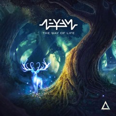 AfterLife (Original Mix)