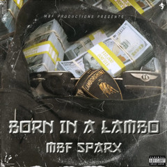 BORN IN A LAMBO (prod. guapp hunnidz)