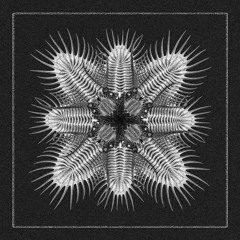 AQR027 // Various Artists - 10