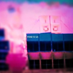 Pond 12 UG - Acid Angel B2B Valentino