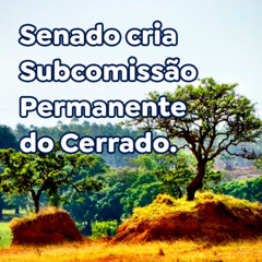 Senado cria Subcomissão Permanente do Cerrado.