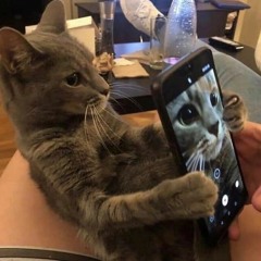 code10-glizzy ремикс 13.03.22