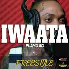 Iwaata Freestyle