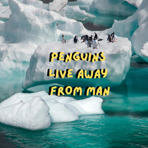 The saddest song of All