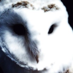 Can’t Shake (by Tinichi6 sped up 1.1)