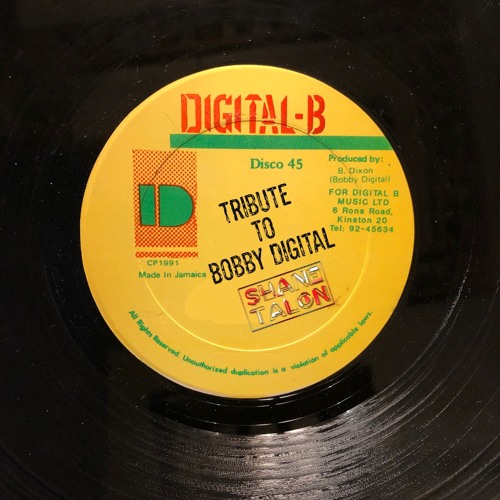 TRIBUTE TO BOBBY DIGITAL (Digital-B)