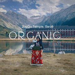 From Xiannü Mountain to Tsokchen Monastery