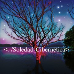 Soledad Cibernetica 01