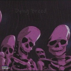 DYING BREED(prod.bydru)