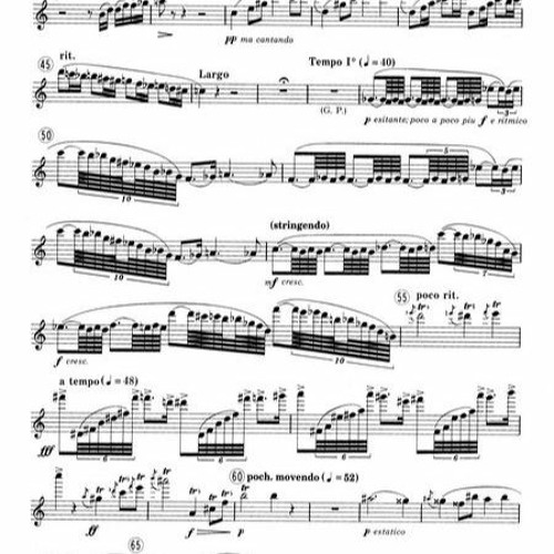 Stream Lowell Liebermann Flute Concerto Pdf Download !!LINK!! by