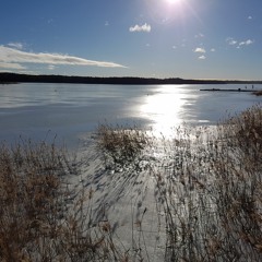 Väckelsesång