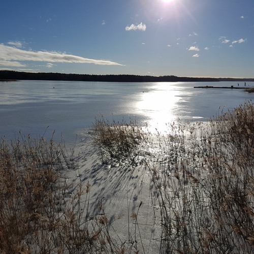 Väckelsesång