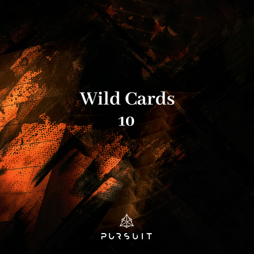 Wild Cards 10 By Pursuit Recordings