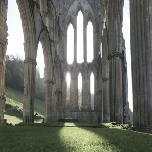 ☆☆1436525034311803214☆☆