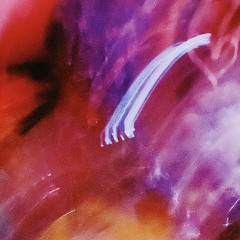 Jam / feat.Kancrow,Wolph(prod.popbobeats)