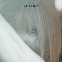 AllINAll - MOO 2